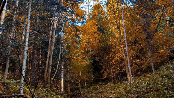 FOTO-grafia DNIA fot. Julka Duduś #zostanwdomu